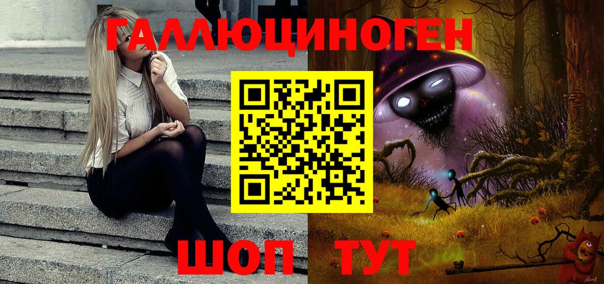 Псилоцибиновые грибы Cubensis Чехов