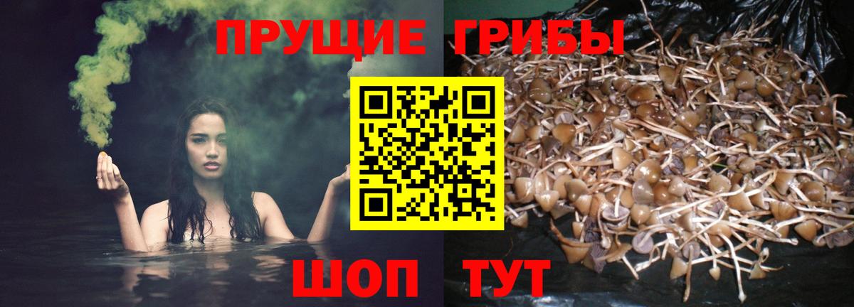 Чехов  Псилоцибиновые грибы MAGIC MUSHROOMS  Вход с VPN  Псилоцибиновые грибы Magic Shrooms 